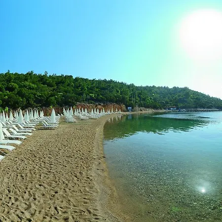 Bodrum Park منتجع