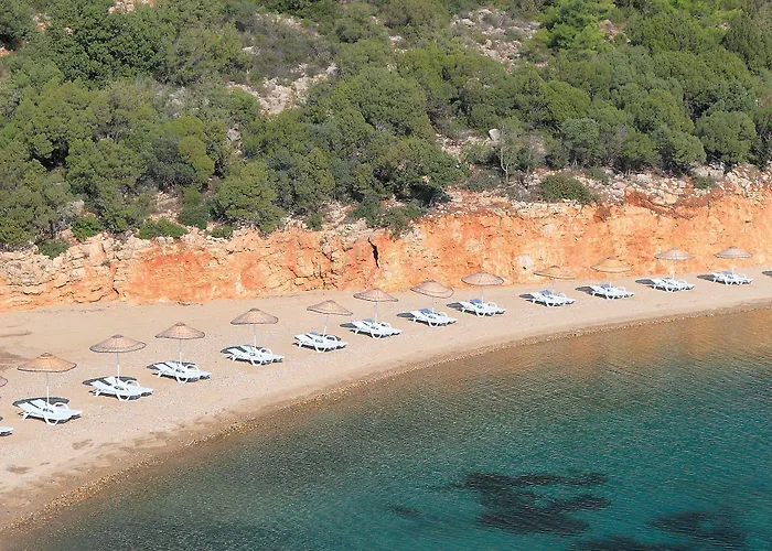 Bodrum Park Курортный комплекс Ялычифтлик